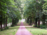 entretien des espaces verts pour les particuliers