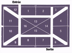 plan d'une prairie fleurie